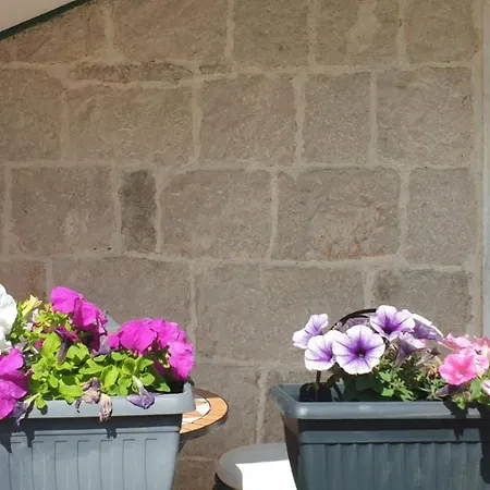 Apartment Private Garden *